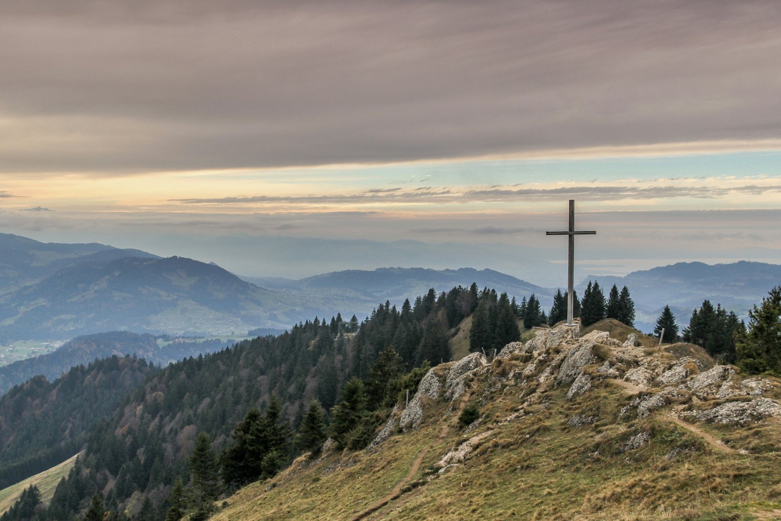 gray cross near tall green trees